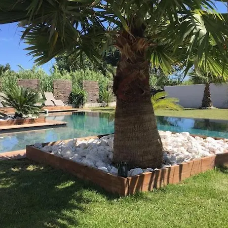 Piscine Sur A 50 Metres De La Willa Agde
